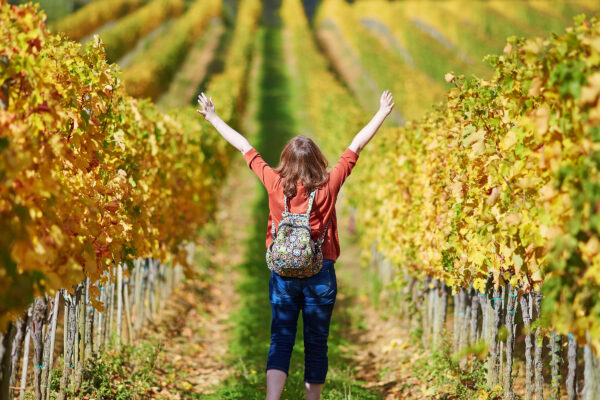 Is WAAA Membership the Secret Weapon for Your Agritourism Biz?