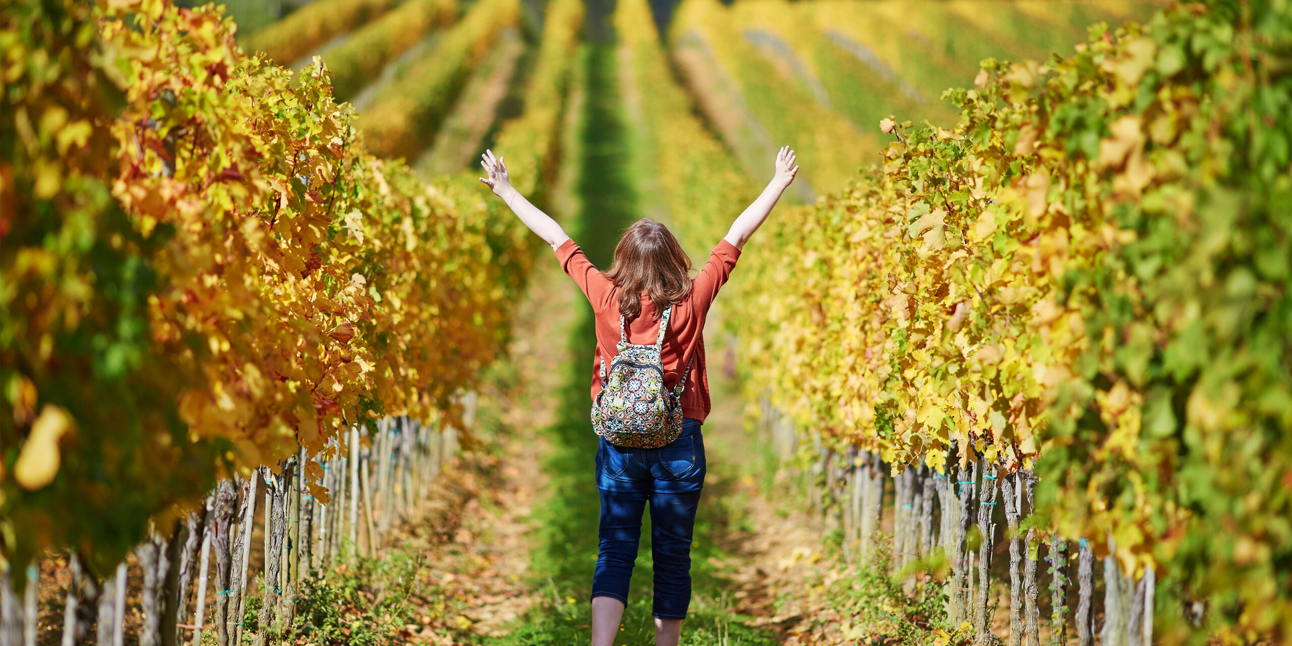 Is WAAA Membership the Secret Weapon for Your Agritourism Biz?